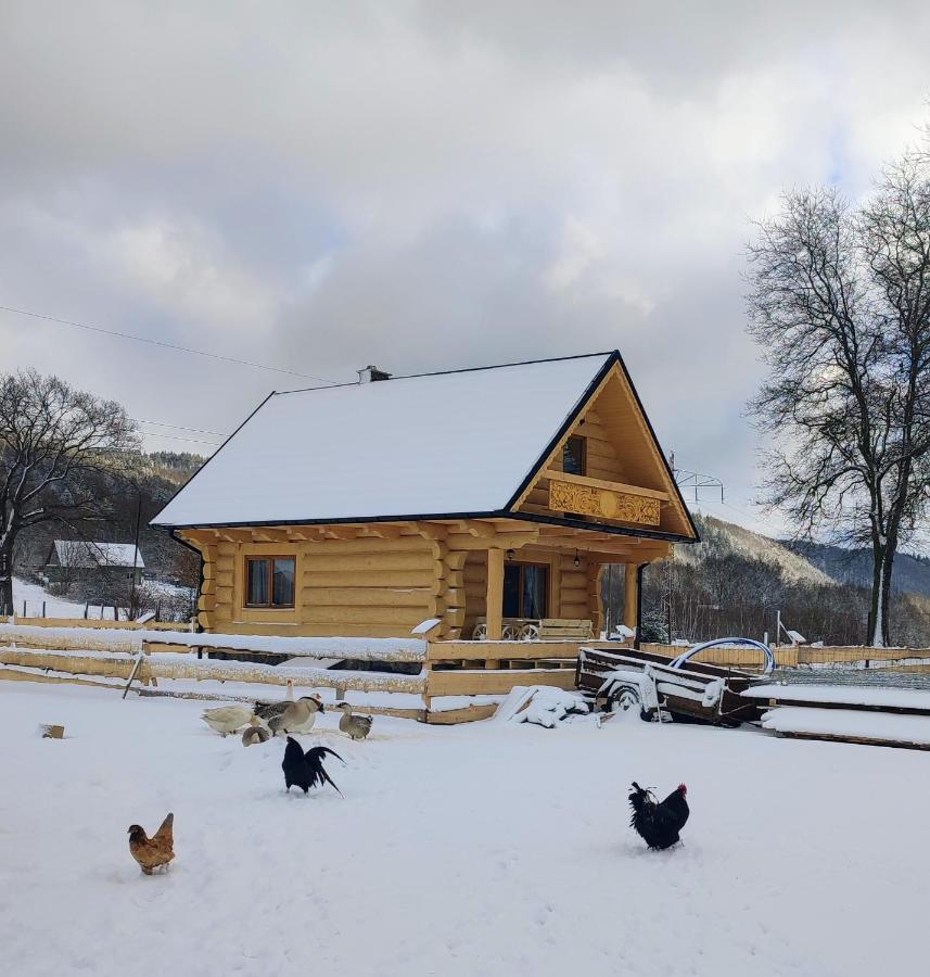 Sudecki Dym Z Kominkiem Kolo Karpacza. Agroturystyka Janowice Wielkie Ngoại thất bức ảnh