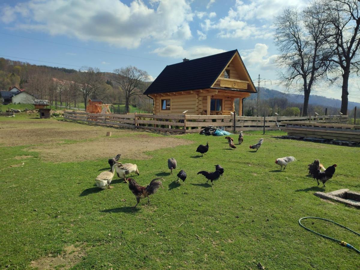 Sudecki Dym Z Kominkiem Kolo Karpacza. Agroturystyka Janowice Wielkie Ngoại thất bức ảnh