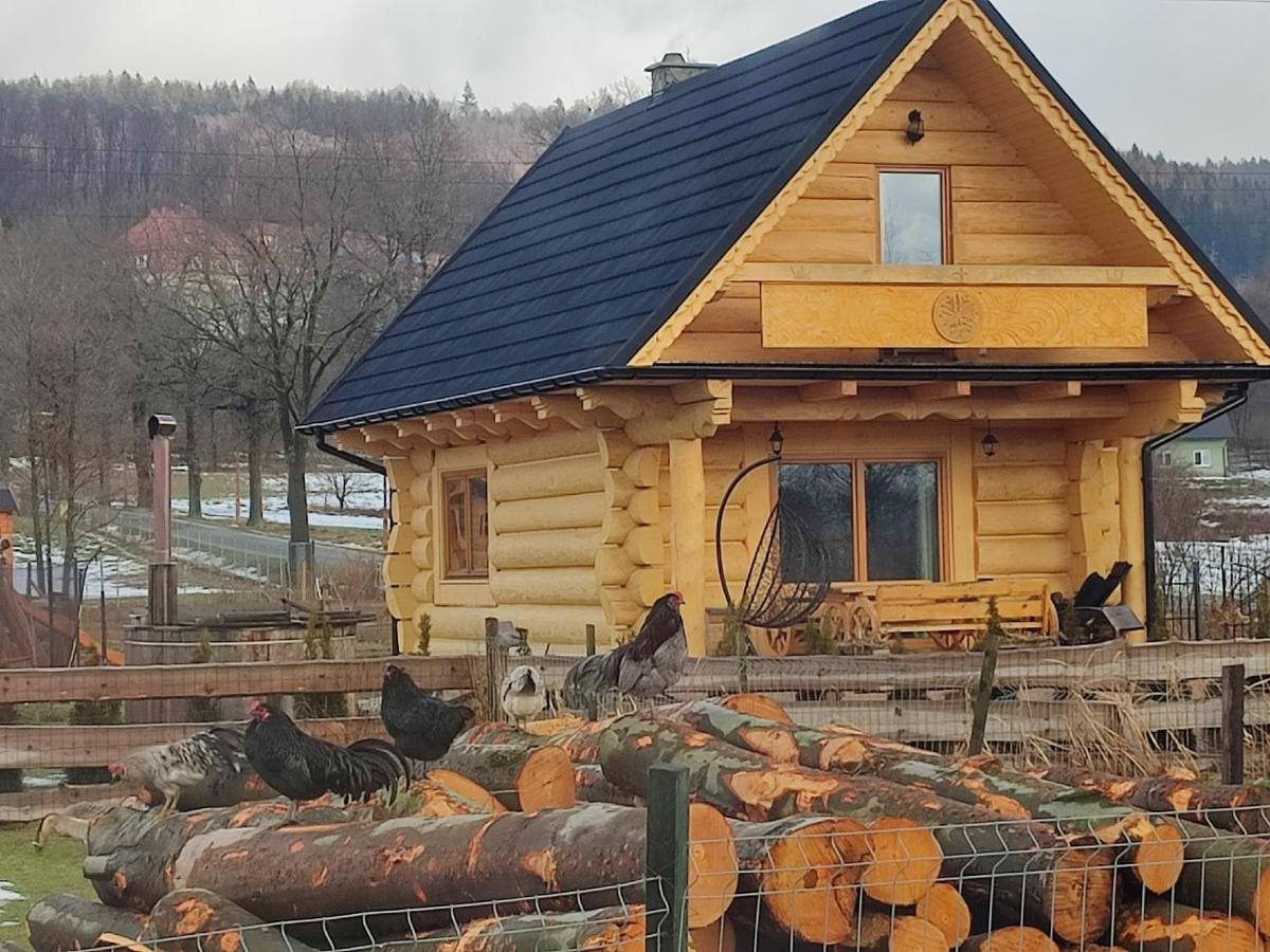 Sudecki Dym Z Kominkiem Kolo Karpacza. Agroturystyka Janowice Wielkie Ngoại thất bức ảnh