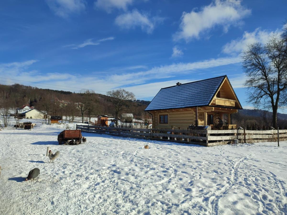 Sudecki Dym Z Kominkiem Kolo Karpacza. Agroturystyka Janowice Wielkie Ngoại thất bức ảnh