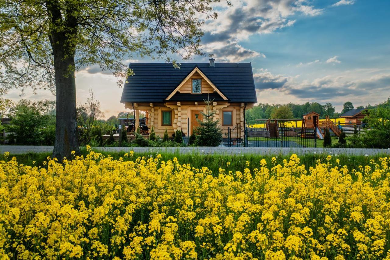 Sudecki Dym Z Kominkiem Kolo Karpacza. Agroturystyka Janowice Wielkie Ngoại thất bức ảnh