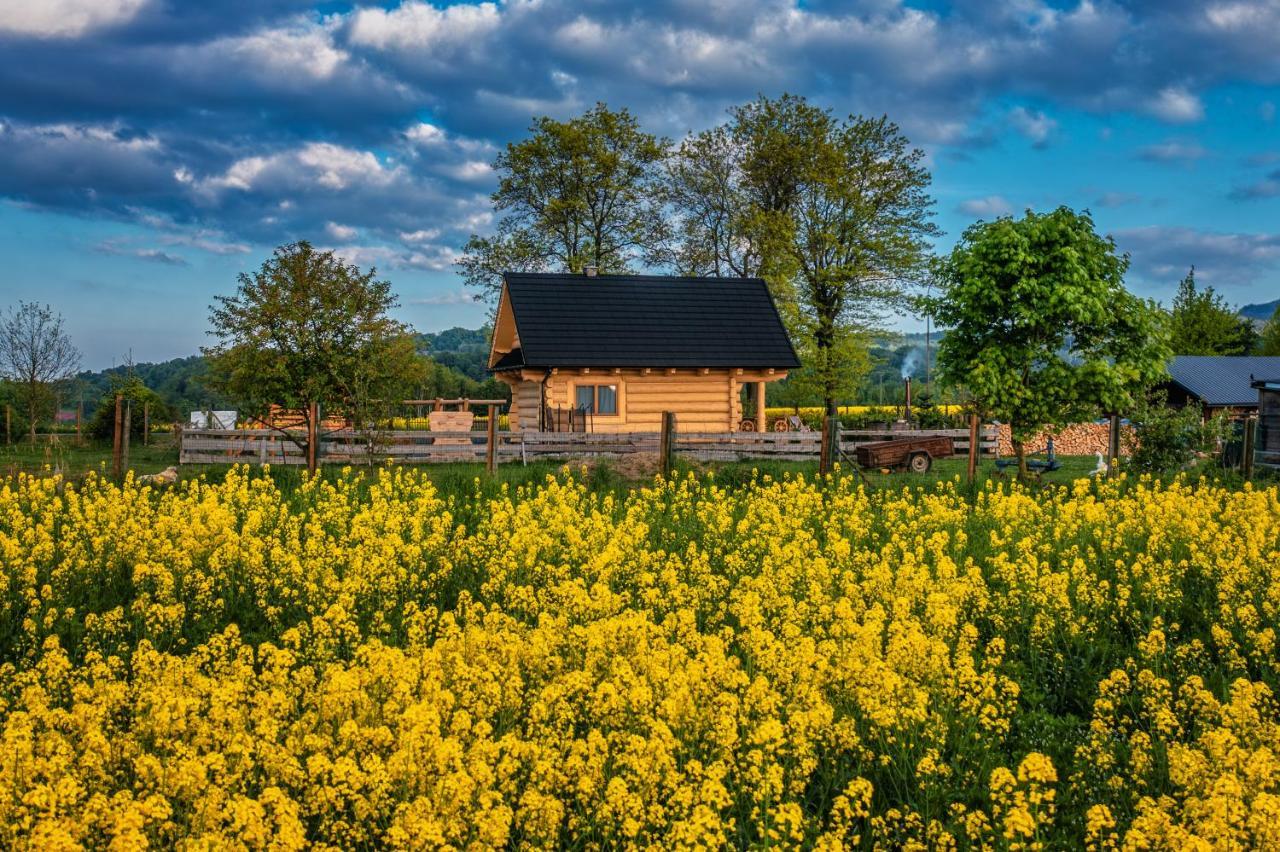 Sudecki Dym Z Kominkiem Kolo Karpacza. Agroturystyka Janowice Wielkie Ngoại thất bức ảnh