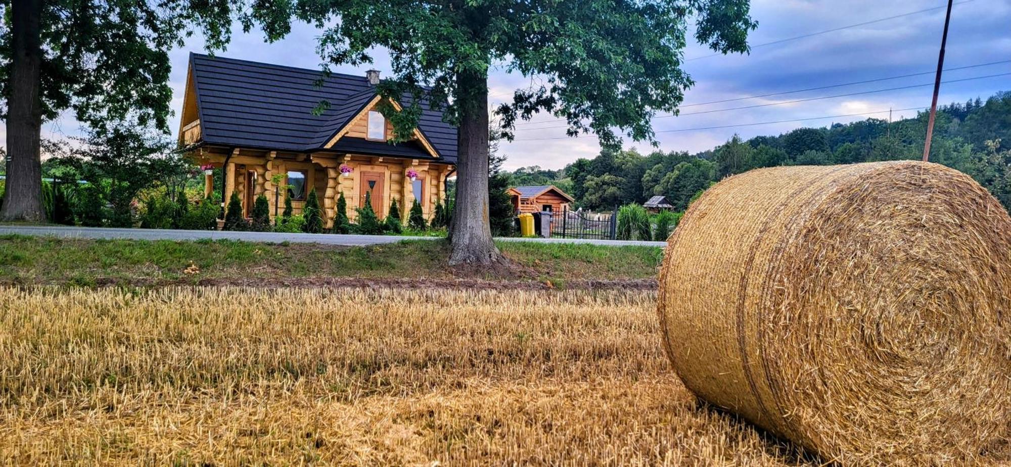 Sudecki Dym Z Kominkiem Kolo Karpacza. Agroturystyka Janowice Wielkie Ngoại thất bức ảnh